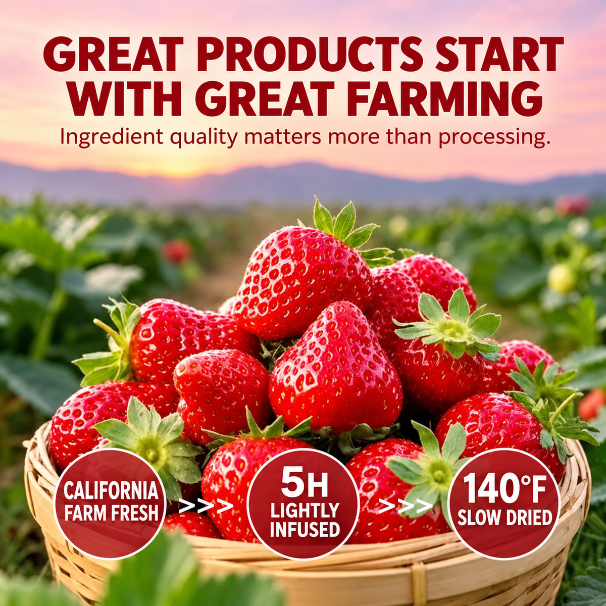 Premium Dried Strawberries-EDC