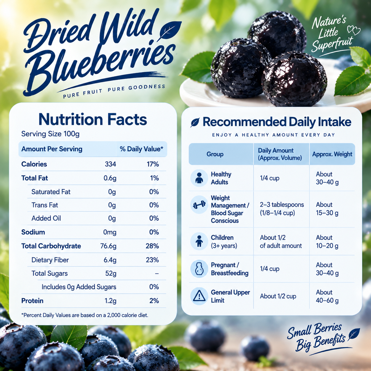 Premium Organic Maine Wild Blueberries | High-Anthocyanin Antioxidant Superfood - WHM