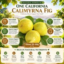Premium California Calimyrna Figs | Naturally Sweet, Fiber-Rich & No Added Sugar - WHM