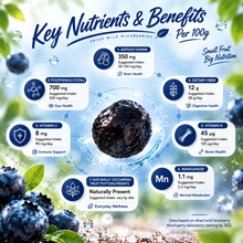 Premium Organic Maine Wild Blueberries | High-Anthocyanin Antioxidant Superfood - WHM