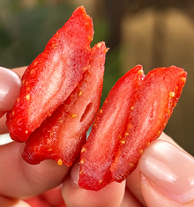 🍓Dried Strawberries – Deliciously Sweet with Real Antioxidant Power-OUO